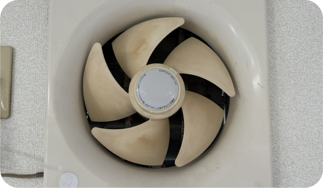 高圧洗浄による隅々洗浄